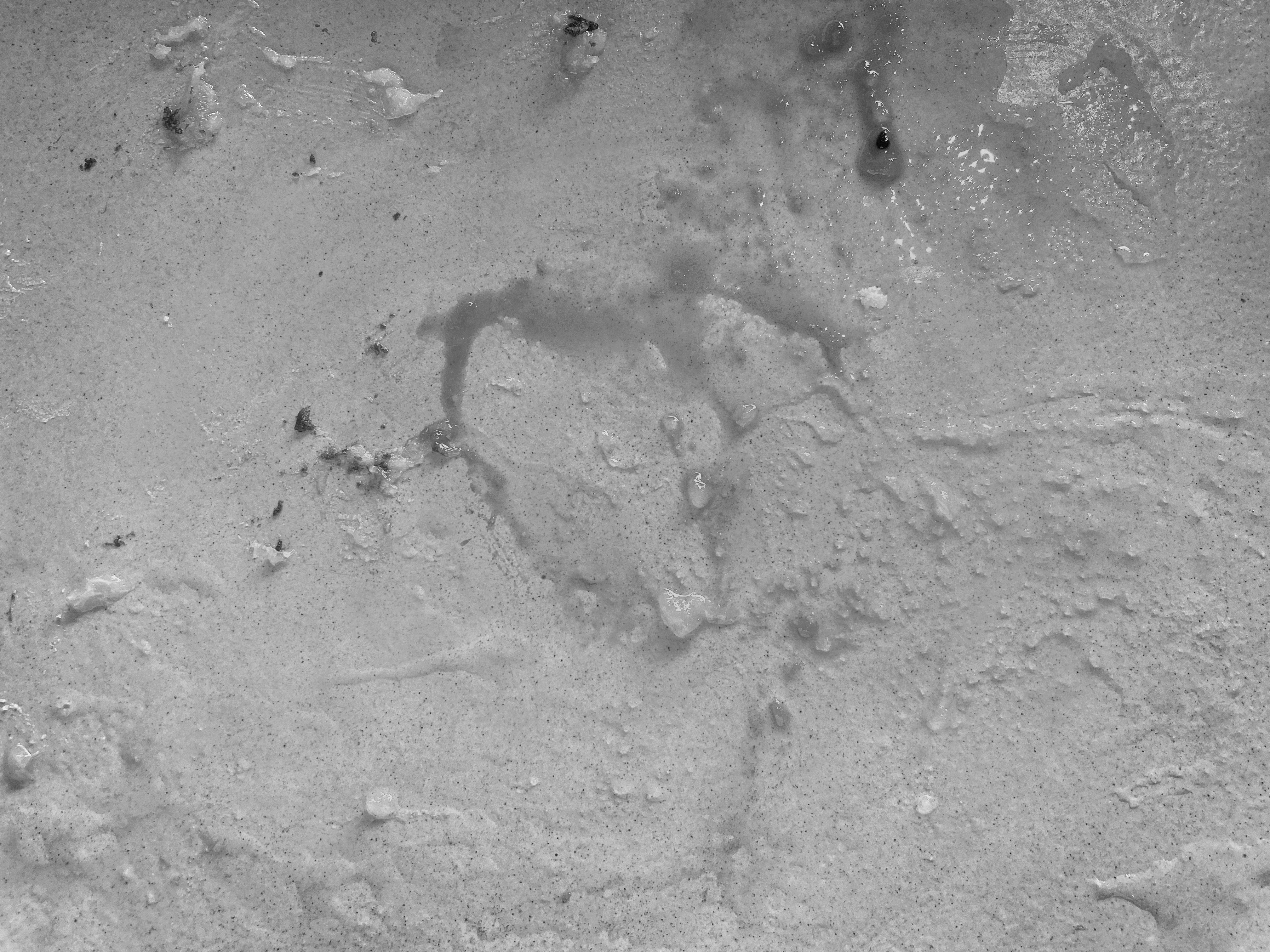 A Black and White Plate photographed with soft focus on background, emphasizing shape