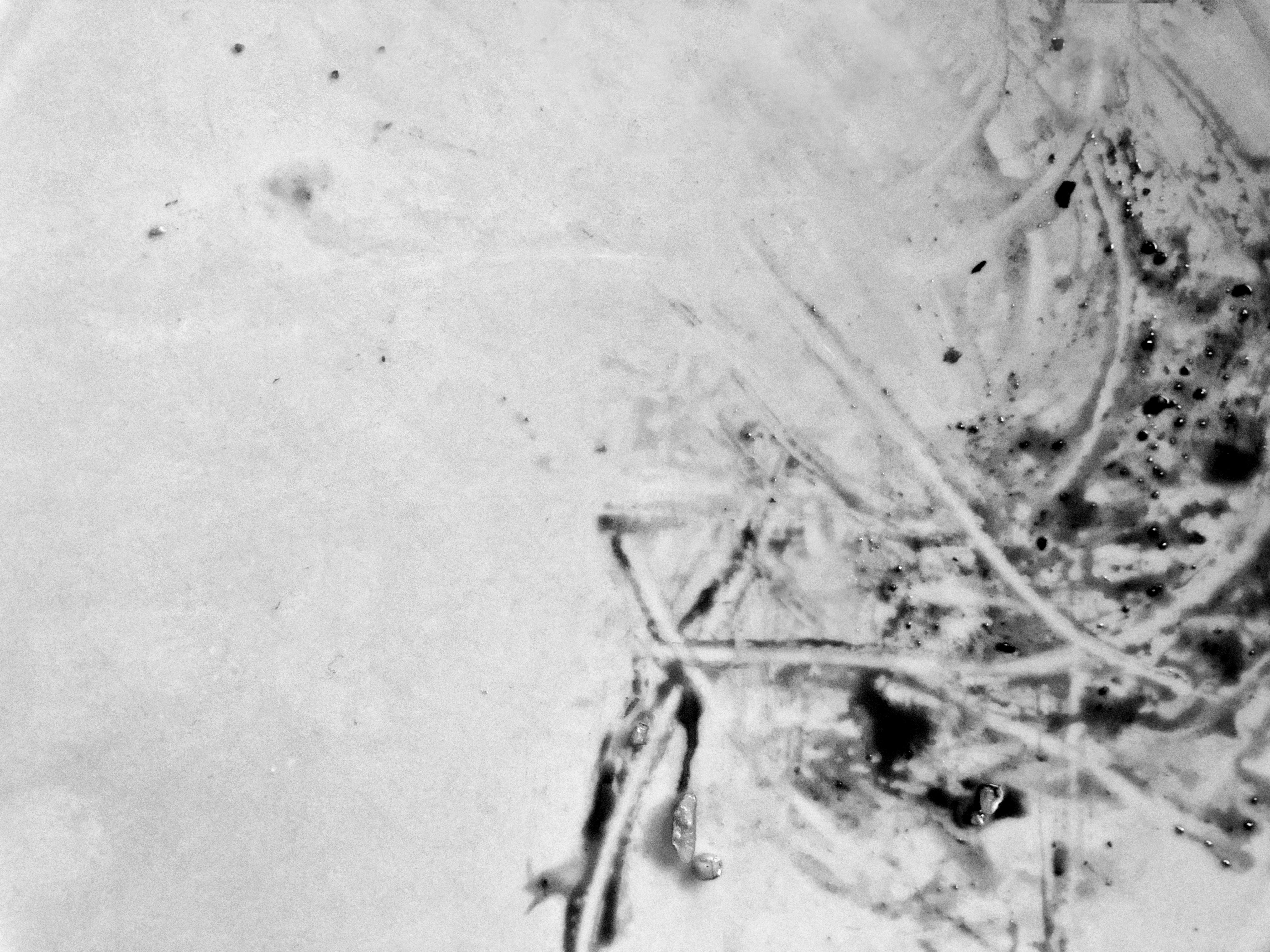 A Black and White still life photograph of a ceramic plate on a neutral background