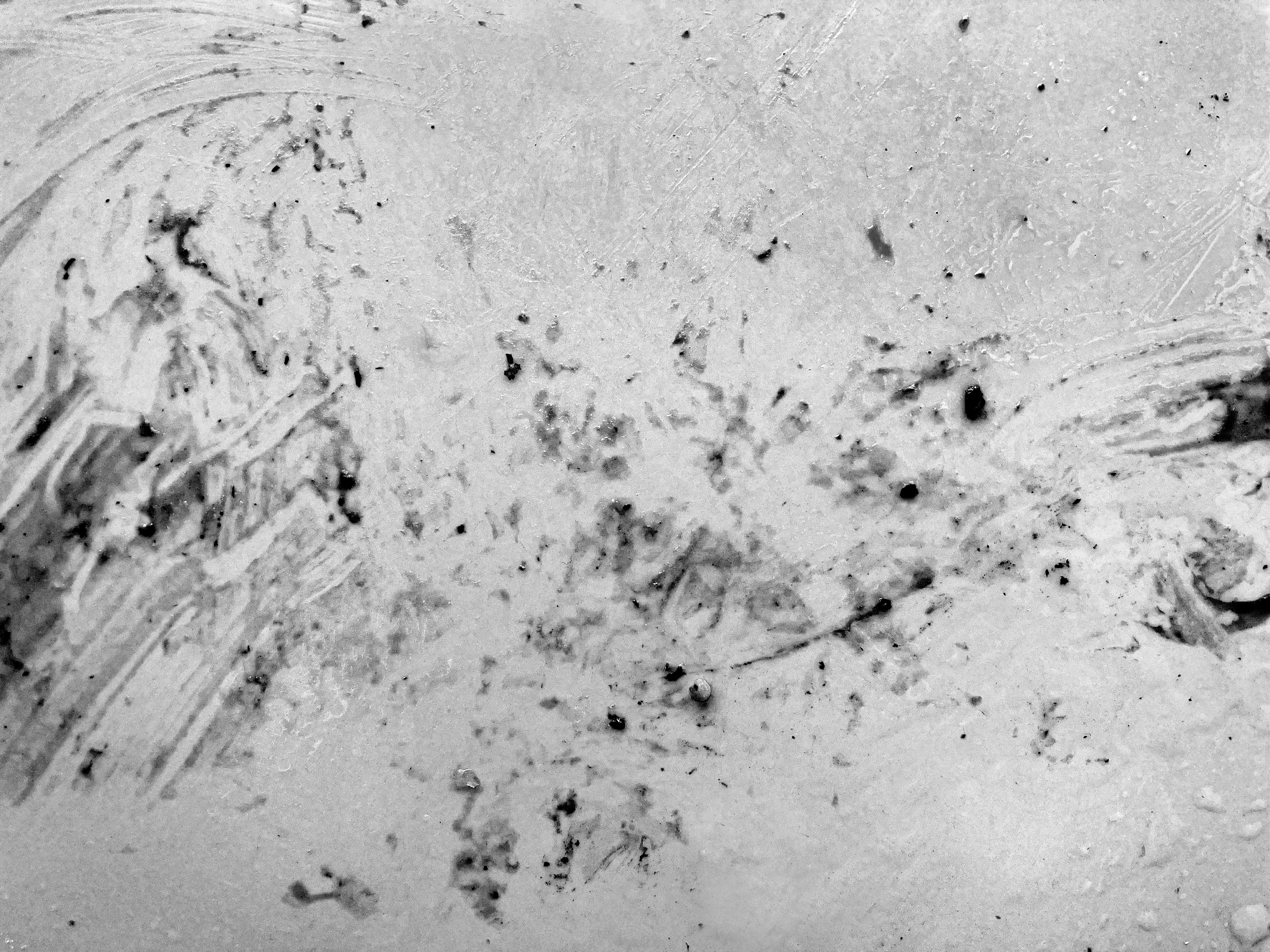 Plate shot with reflection or glossy glaze visible