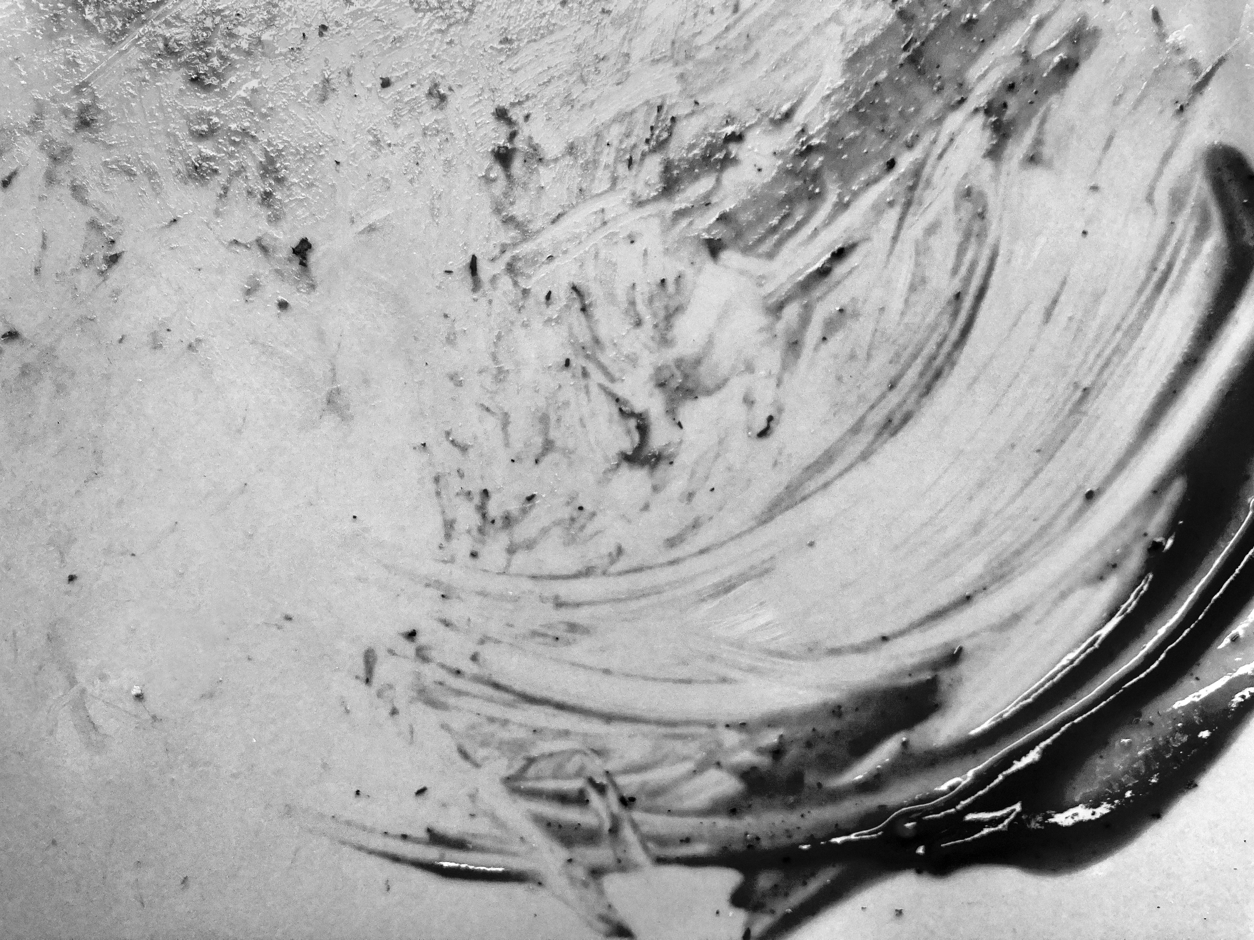 A Black and White Plate side view showing thickness and contour.